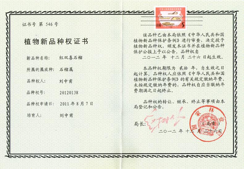 植物新品種權證書